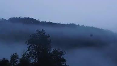 森林云雾延时摄影视频的预览图